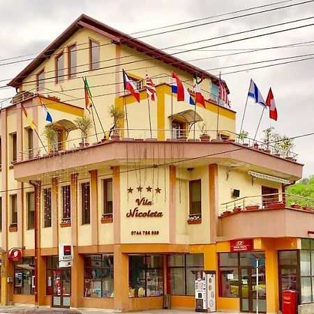 Vila Nicoleta Baile Olanesti Ngoại thất bức ảnh