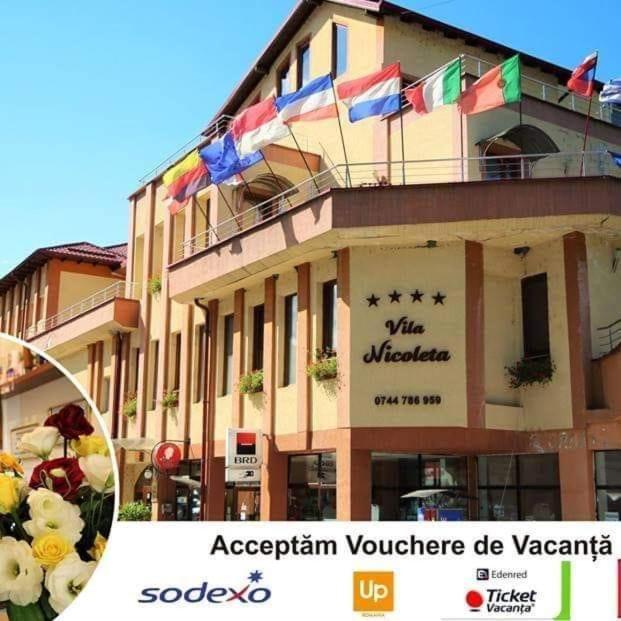 Vila Nicoleta Baile Olanesti Ngoại thất bức ảnh